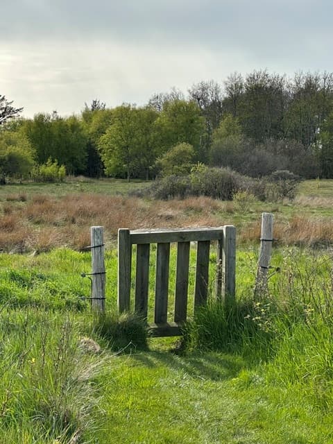 Træport i det grønne område